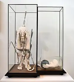 Masochistic alchemy (1966)