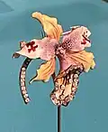 Orchid brooch