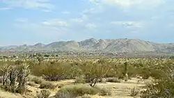 Southward view of Joshua Tree Town Center in front of the mountains of Joshua Tree National Park