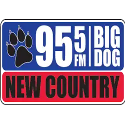 Big Dog 95.5 logo