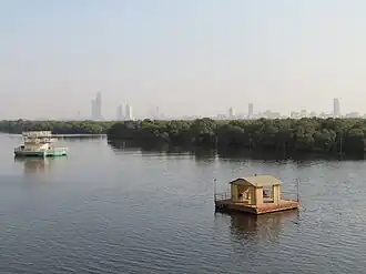 Mangrove forests of Karachi, Pakistan