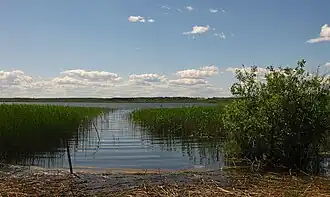 A sunny day at Keeri Lake