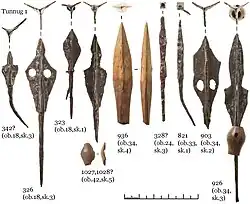 Arrowheads found in the skeletal remains of people of the Kokel culture
