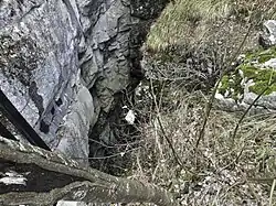 A pit in which Ustaše threw killed Serb civilians from Bileća, a part of the wider Genocide of Serbs