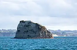 Kotanui Island / Frenchmans Cap seen from the south, 2011