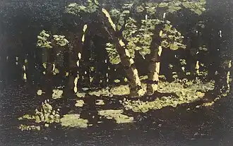 A Birch Grove, State Russian Museum, Inventory No. Zh-1105