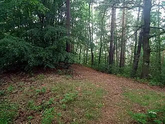 Summit plateau of the Kutschenberg