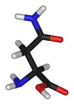 3D structure of Asparagine