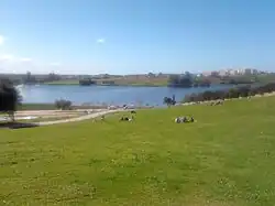 Aerial photography, Reghaia lake