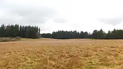 Lake Isabella State Park, near Kamilche, 2025