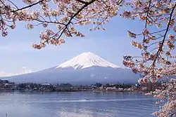 Image 10Mount Fuji and sakura (cherry blossoms) are national symbols of Japan (from Culture of Japan)