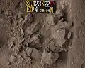 Burial 22. Excavation at exposition 4.
