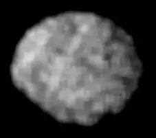 An irregularly shaped grey object slightly elongated horizontally occupies almost the whole image. Its surface shows a number of dark and white spots.