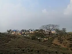 Jyoti School Area, Laxmipur