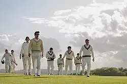 Crickets leaving the field at the end of the game
