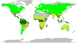 The biomes occupied by Fabaceae
