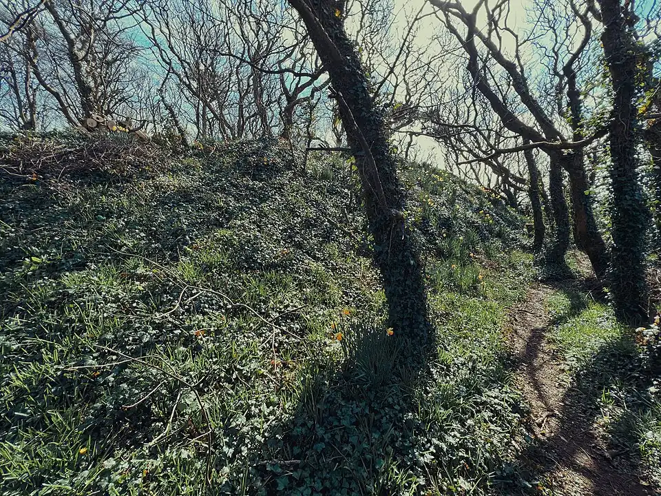 A path winding past the leaf and flower covered earthen ramparts visible in the left of the photograph