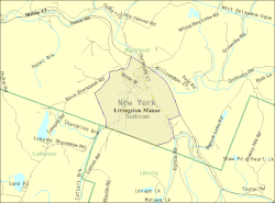 U.S. Census map of Livingston Manor