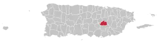 Map of Puerto Rico highlighting Cidra Municipality