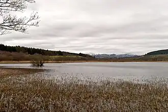 A lake, with reeds in the shallows, and mountains in the distance
