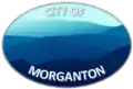 Official logo of Morganton, Georgia