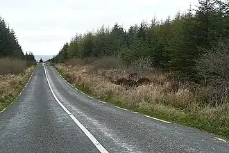 Loughaun forestry - geograph.org.uk - 1252175.jpg