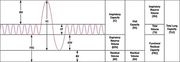 Output of a 'spirometer'