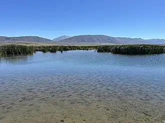 A shallow body of water on a clear day with groves of harakeke at the rear and mountains in the distance