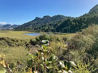 Little Pond looking towards the south-west