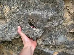 Climbing at Margalef