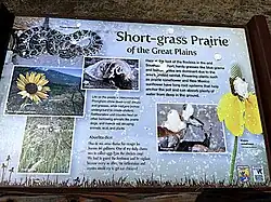 Interpretive sign
