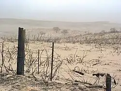 McClellan Creek National Grassland after the 2006 fire