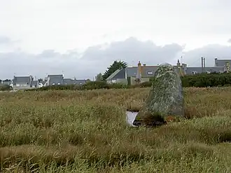 Ancient menhir at Treffiagat