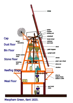 Diagram of the smock mill at Meopham, Kent