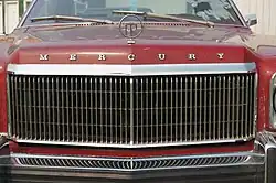 Grille and hood ornament