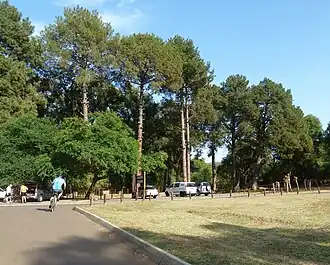 Meriting picnic area