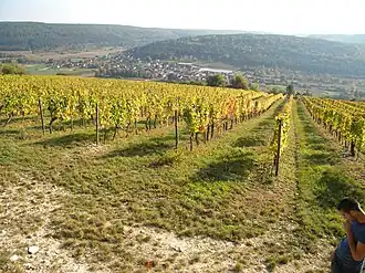 A general view of Meuilley