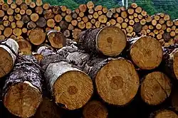 Logs in Mexico in 2018