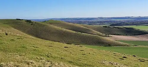 A view from Milk Hill in Wiltshire, showing small, grassy hills under a clear sky