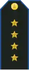 Service uniform shoulder board (Captain)