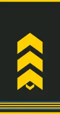 Uniform shirt shoulder board (Senior sergeant)