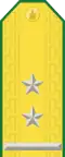 Parade uniform shoulder board (Lieutenant colonel)