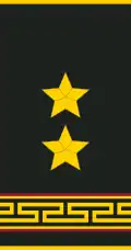 Uniform shirt shoulder board (Lieutenant colonel)
