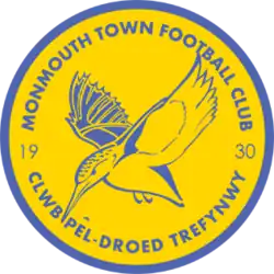This is the Monmouth Town F.C. crest. The name of the club in English, "Monmouth Town Football Club", is on the top of the circle, an image of the Kingfisher in the middle with the numbers 19 and 30 on either side of the bird. The name of the club in Welsh, "Clwb Pêl-Droed Trefynwy", adorns the bottom of the circle.