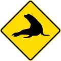 Watch for animals (seals)