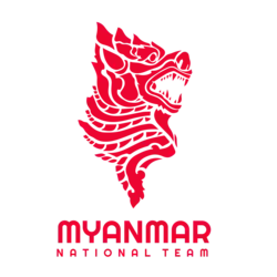 Shirt badge/Association crest