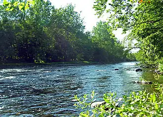 The Neversink River in Cuddebackville