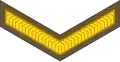 Lance corporal (New Zealand Army)[44]