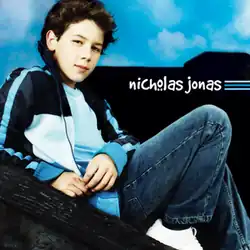 Nick Jonas siting sideways on the roof of a house
