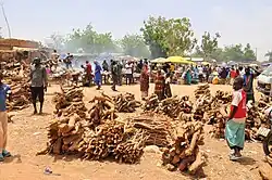 Sale of firewood